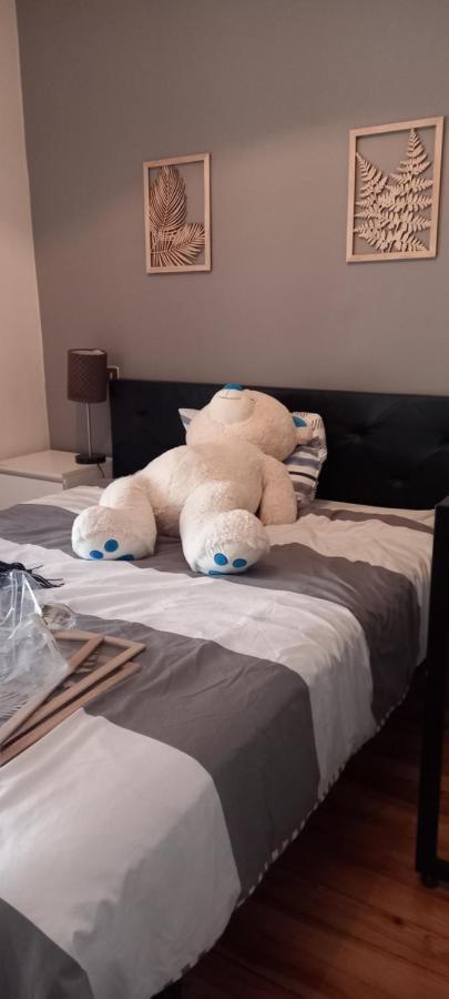 Apartament Le Gambetta T2 Cosy Hypercentre Wifi Fibre Avec Parking Pau Zewnętrze zdjęcie